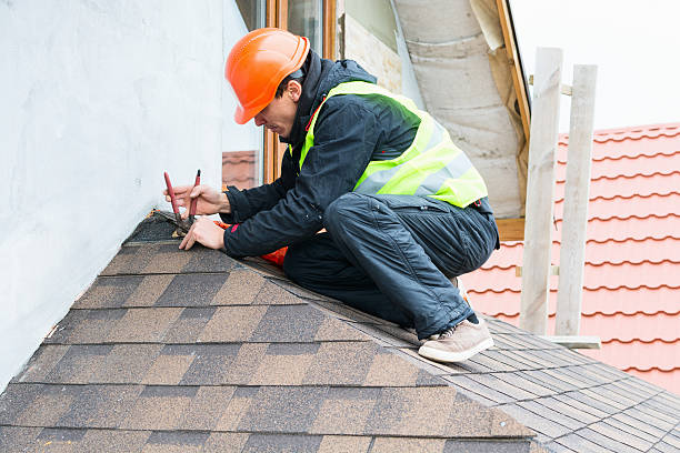 Best Roof Gutter Cleaning  in West Brownsville, PA